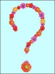 Mon nom est Larimar, que suis-je ?