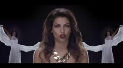 De quel clip provient cette cette image ?