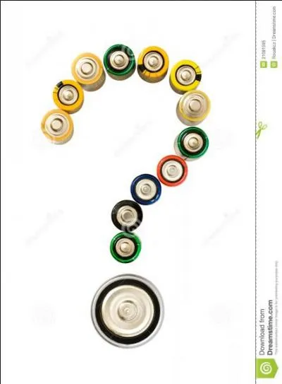 Mon nom est mycne rose, que suis-je ?