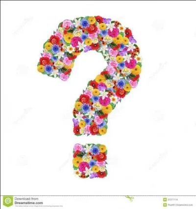 Je m'appelle Lapis-Lazuli, que suis-je ?