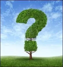 Galinette, je suis :