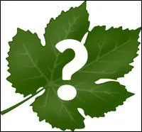 Mon nom est miro, que suis-je ?