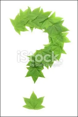 Mon nom est ptrogale, que suis-je ?