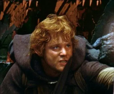 Et pour finir, quelle a été la principale préoccupation de Sam durant tous les voyage ?