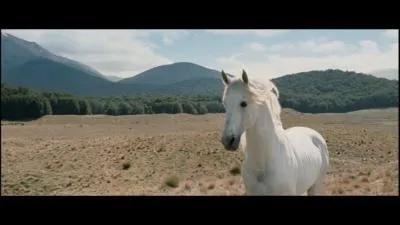 Quel est le cheval de Gandalf le Blanc ?