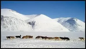 quel pays appartient le Nunavut, territoire inuit indpendant, galement appel terre de Baffin ?