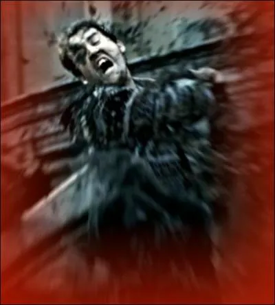 Quel commentaire Ron fait-il  propos du visage taillad de Neville, alors qu'ils se retrouvent dans le tunnel qui relie Poudlard au pub d'Abelforth ?