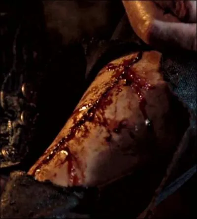 Pourquoi prendre le sang d'Harry pour se reconstituer un corps fut l'erreur fatale de Voldemort ?