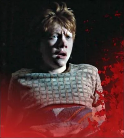 En troisime anne, pourquoi Ron retrouve-t-il des taches de sang dans son lit ?