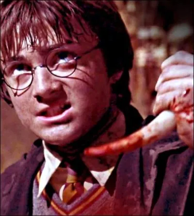 Que se passe-t-il lorsqu'Harry transperce le journal de Jedusor avec le crochet du Basilic vaincu ?