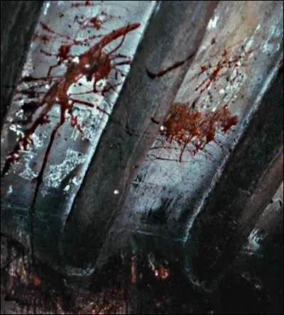 Dans quelle habitation faut-il se rendre pour observer cette tache de sang au plafond ?