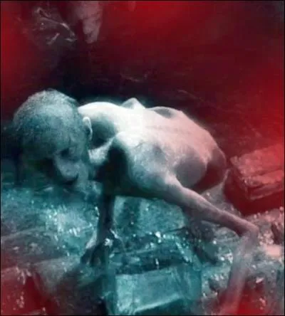 Que se passe-t-il quand Harry lance le sortilge Sectumsempra aux Inferi ?