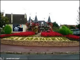 Nous nous trouvons  Villemandeur, un ville Loirtaine situe en rgion ...