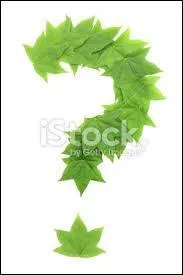 On m'appelle pilobe, que suis-je ?