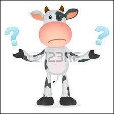 Mon nom est sapote, que suis-je ?