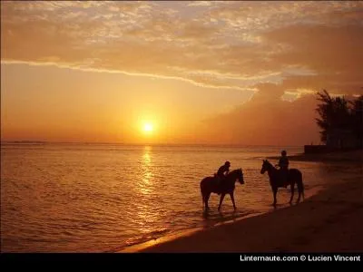 ''Il est mort le soleil'' en 1968, pour...