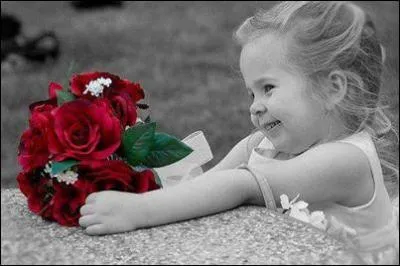 Qui a chant : L'important c'est la rose ?