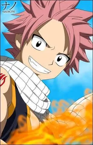 Qui est Natsu ?