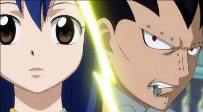 Qui sont les autres chasseurs de dragons de Fairy Tail ?