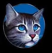 Quel chat a t aid par il de geai aux abords du lac ?