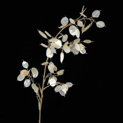  quelle famille de plantes  quatre ptales associe-t-on la monnaie-du-pape ; remarquable de part ses fruits en forme d'cus ?