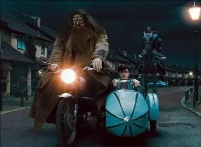 Le plan labor consiste donc  escorter les sept Harry Potter jusqu'au Terrier. Ils seront protgs par un garde du corps. Quel moyen de locomotion est utilis par le vritable Harry Potter, qui sera escort par Rubeus Hagrid ?