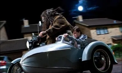 La grande opration de sauvetage se met en place. Trente Mangemorts sont lancs  la poursuite des sept Harry Potter. Tandis que Harry Potter et Rubeus Hagrid tentent de se dfendre dans le ciel de Little Whinging, que se passe-t-il soudainement ?