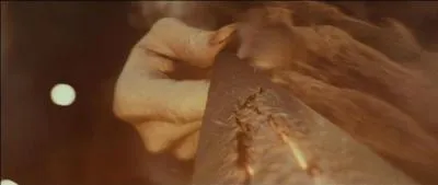 Suite  cette dcouverte, tous les Mangemorts foncent vers Harry Potter et Rubeus Hagrid. Lord Voldemort se retrouve face  son pire ennemi. Tandis qu'un combat  la baguette magique allait s'engager, comment ragissent les deux baguettes magiques ?