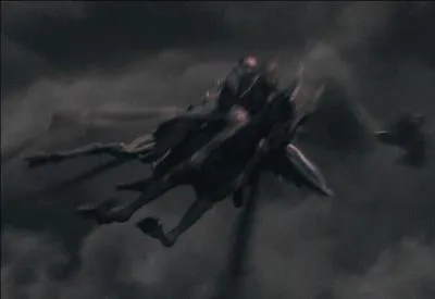 Dans le mme temps, Hermione Granger, qui s'est elle-aussi transforme en Harry Potter, repousse tant bien que mal les vagues successives des Mangemorts, sur un sombral. Par quel sorcier est-elle escorte vers le Terrier ?