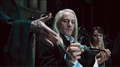 Peu aprs que ce sujet de dsaccord ait t rsolu, Lord Voldemort annonce qu'il doit changer de baguette magique car la sienne et celle de Harry Potter sont jumelles. Il oblige Lucius Malefoy  lui donner sa baguette magique. Quel est le bois dans lequel la baguette magique a t fabrique ?