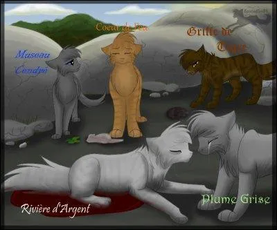 Pourquoi Rivire d'Argent est-elle morte ?