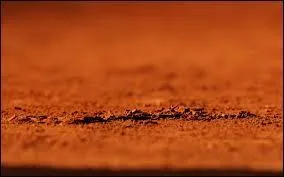 Comment se nomme celui de France ?