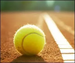 Combien faut-il gagner de sets pour remporter un match à Roland Garros chez les hommes ?