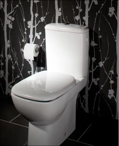 Moquette, tu exagres, qu'est-ce que les toilettes ont  voir avec ce noble animal ?