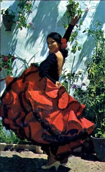 A quel mot, typique du cheval, allez-vous penser en voyant cette photo ?