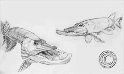 L'une ou l'un des ces trois interprtes a tourn dans  Cyrano de Bergerac  et  Une journe de merde  !