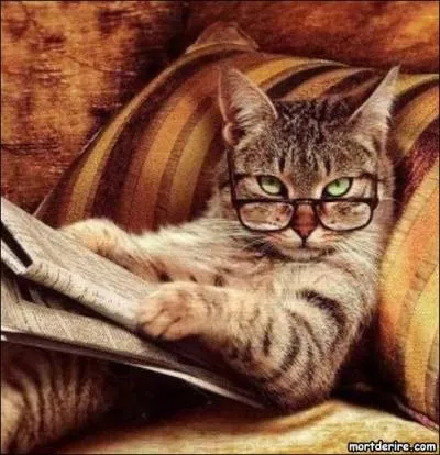 Dans le mot qui qualifie une personne qui est dans l'impossibilit de quitter son lit, vous pouvez lire le nom de la capitale...