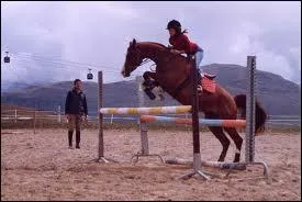 Cet obstacle est un :