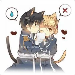 Quel ce couple tir de  Full Metal Alchemist  ?