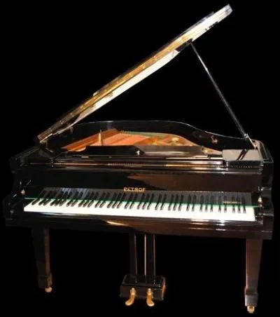 Au choix : droit, à queue, demi-queue, crapaud !