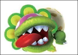 Comment s'appelle-t-il ?