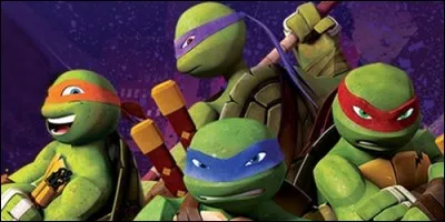 Leonardo, Raphael, Donatello et Michelangelo sont les :