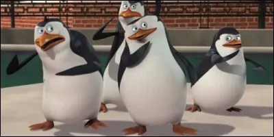 Skipper, Kowalski, Rico et Private exercent des missions paramilitaires afin de sauver leur zoo. Il s'agit de :