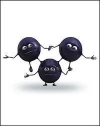 Quels sont ces fruits qui aiment les fruits de la question 14 ?