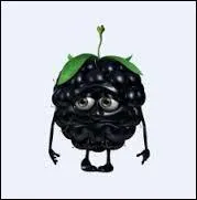 Quel est ce fruit trs peureux ?