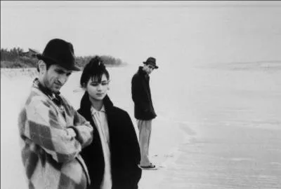  Stranger than Paradise  sort en 1983. Suivront, entre autres,  Down by law  (1986),  Broken Flowers  (2005), de ce ralisateur compltement original, amricain et indpendant.