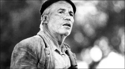  Los santos inocentes  (1984) montre l'aristocratie espagnole se comporter en matre dans l'Extremadure d'aprs Franco. Francisco Rabal y est tout simplement fabuleux. Un film de ...