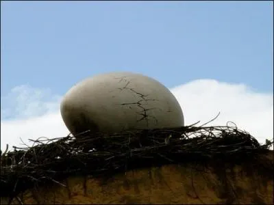 O peut-on admirer un oeuf gant  Disneyland Paris ?