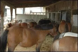 Comment se nomme cet espace ?