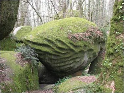 Enfin pour terminer ce quizz, qui j'espre ne vous aura pas trop donn mal  la tte, autrefois dans ma rgion, que voulait dire  i cr pa que le chn at tai piosai  ?